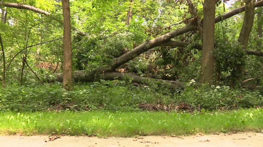 slow-and-steady-work-at-mill-creek-park-ensures-safe-reopening