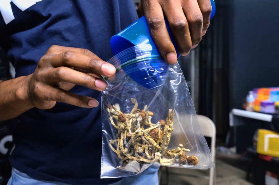 ‘little-baby-zombies’:-new-jersey-ymca-campers-fed-magic-mushroom-laced-edibles