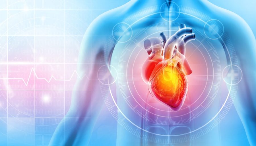 study-finds-alarming-level-of-microplastics-in-heart-attack-patients’-blood