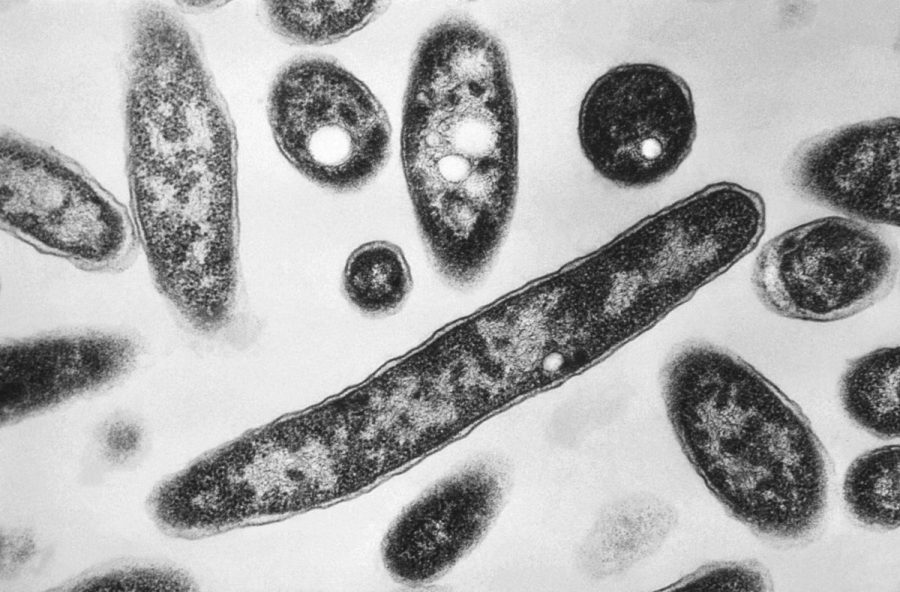 legionnaires’-death-toll-rises-to-6-in-new-york-city-outbreak