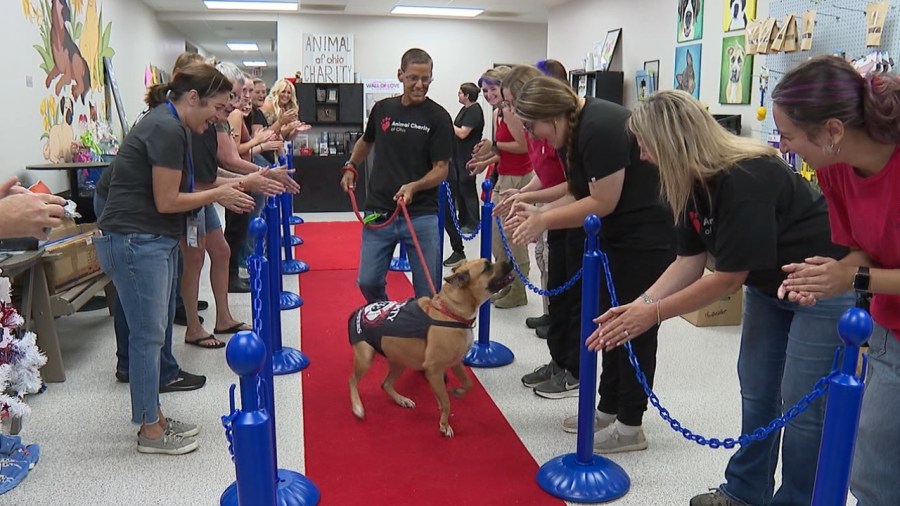 rescue-dog-adopted-by-liberty-fire-department