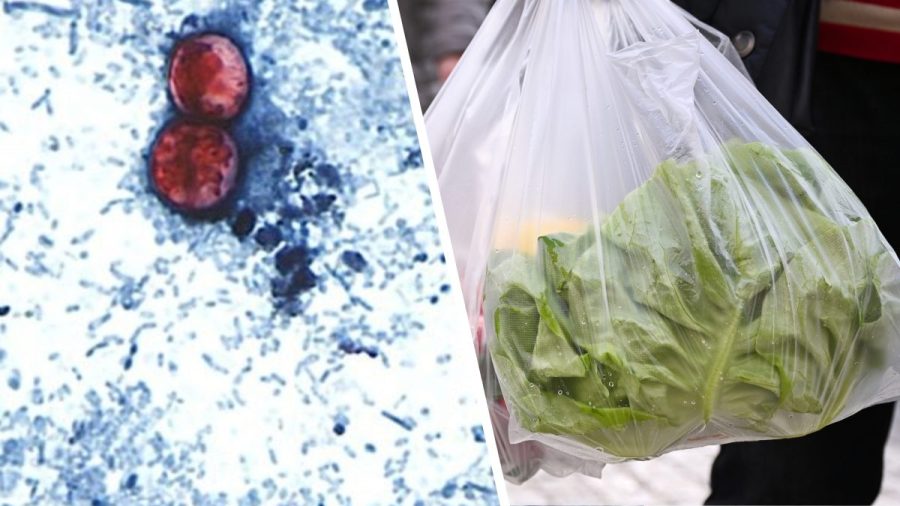 doctor-warns-against-‘cyclospora-skinny’-trend