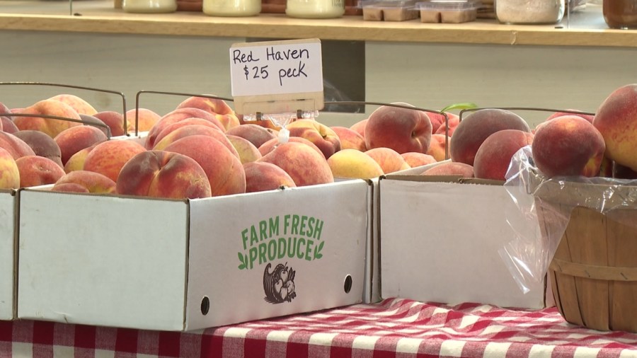 peach-season-expected-to-be-short-and-sweet-this-year