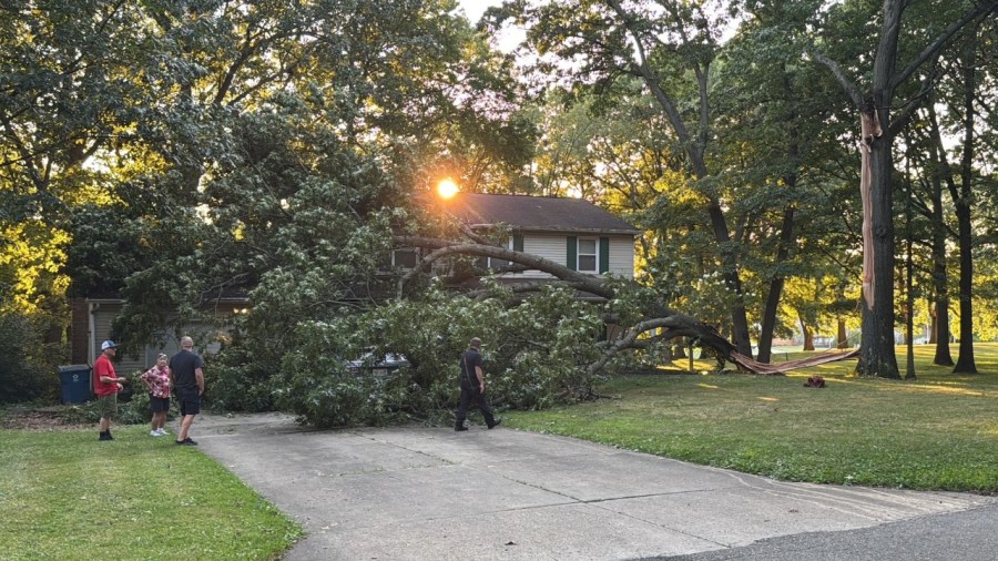 close-call-as-tree-crashes-into-niles-home