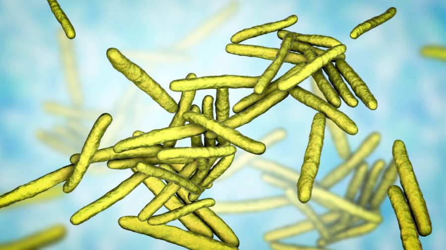 florida-leprosy-cases-were-at-their-recorded-highest-in-2025,-state-data-shows