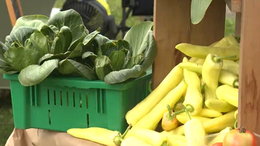 rain-holds-off-for-hubbard-farmer’s-market