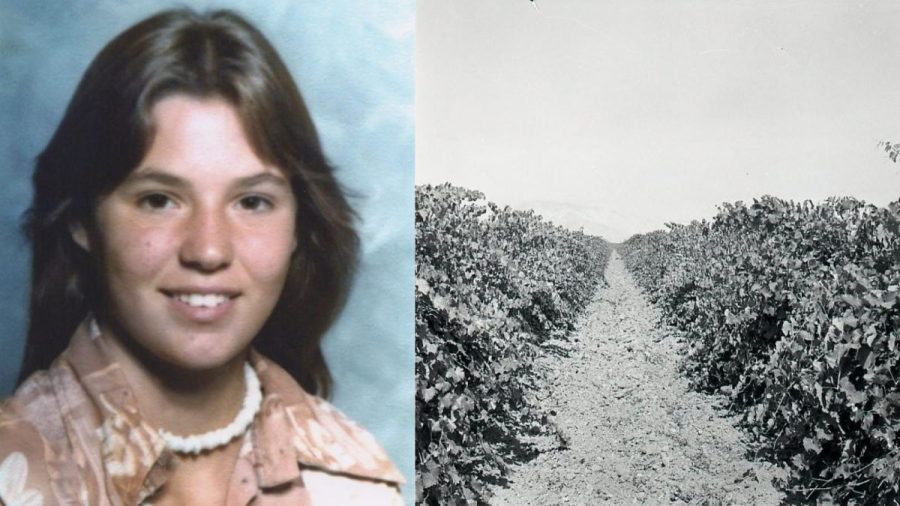 slain-teen-girl-found-buried-in-california-vineyard-identified-nearly-50-years-after-death