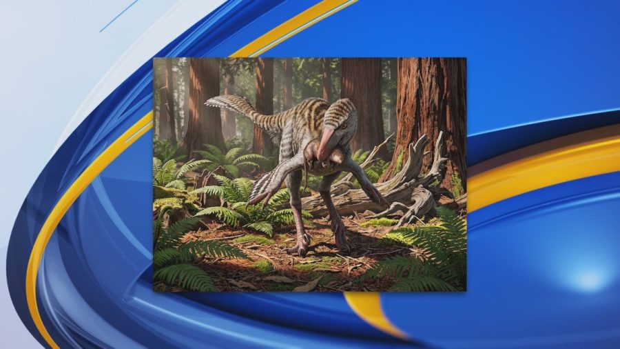 new-dinosaur-species-identified-in-new-mexico,-researchers-say