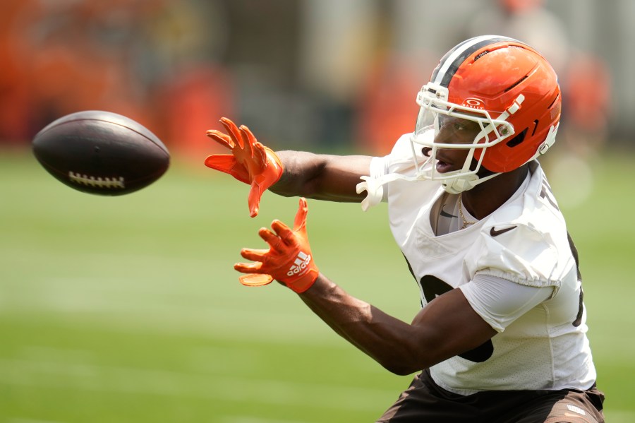 browns-cut-wide-receiver-in-series-of-roster-moves