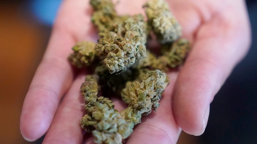 more-frequent-marijuana-users-being-treated-with-nausea-and-vomiting-condition:-report