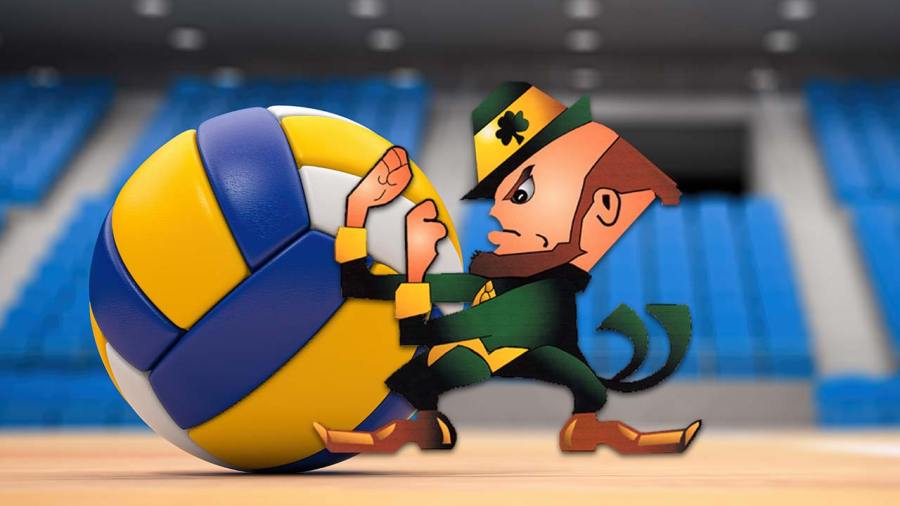 ursuline-high-school-fighting-irish-girls-volleyball-preview-2026