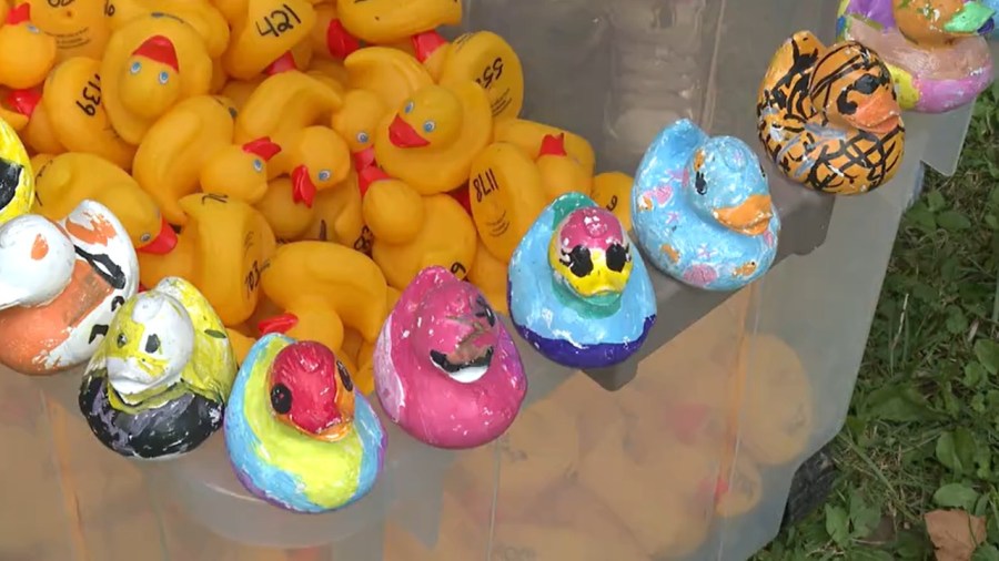 kids-cheer-in-support-as-rubber-ducks-race-down-creek-in-struthers