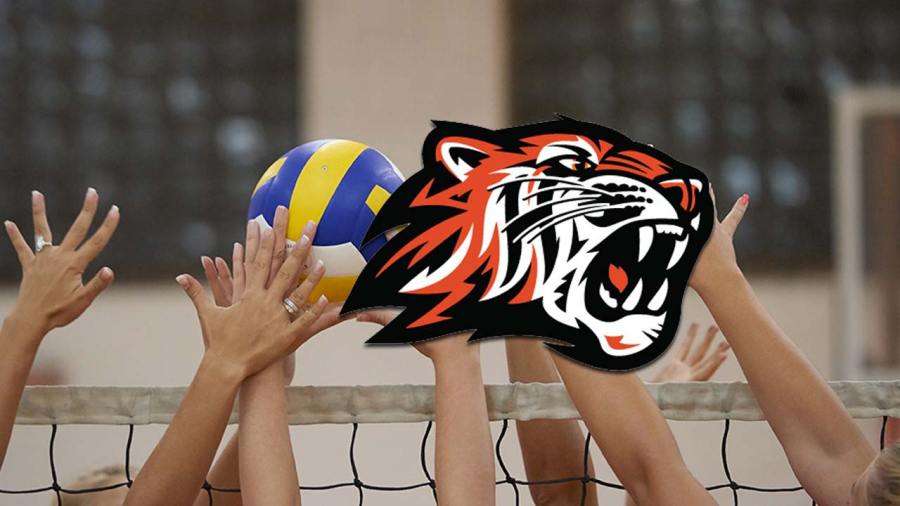 howland-high-school-tigers-girls-volleyball-preview-2025