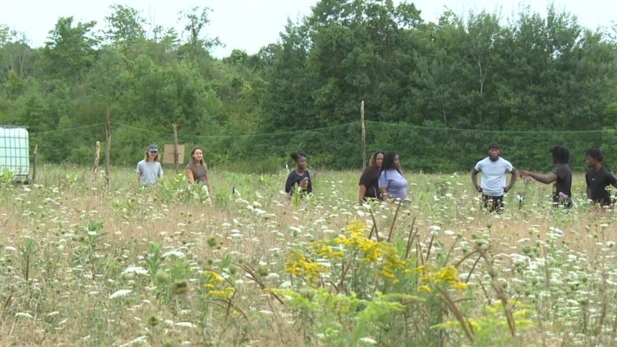 students-showcase-summer-work-at-local-farm