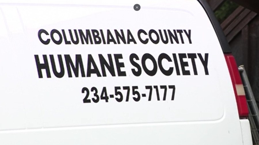 columbiana-county-humane-society-seizes-113-animals,-temporarily-closing-intakes