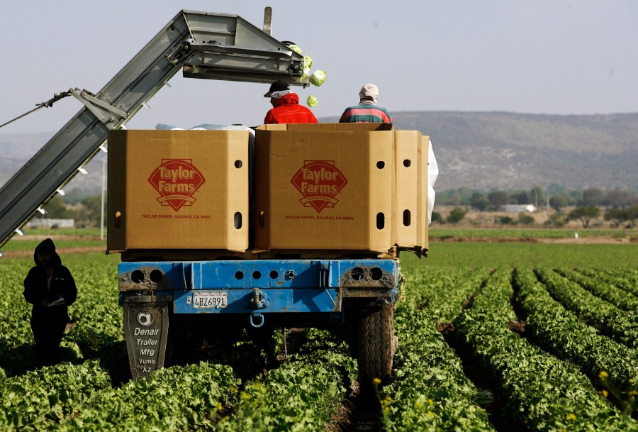are-the-taylor-farms-recalls-connected?