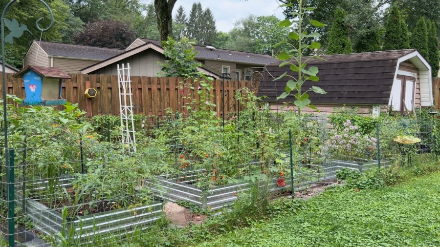 how-to-keep-your-garden-growing-into-fall