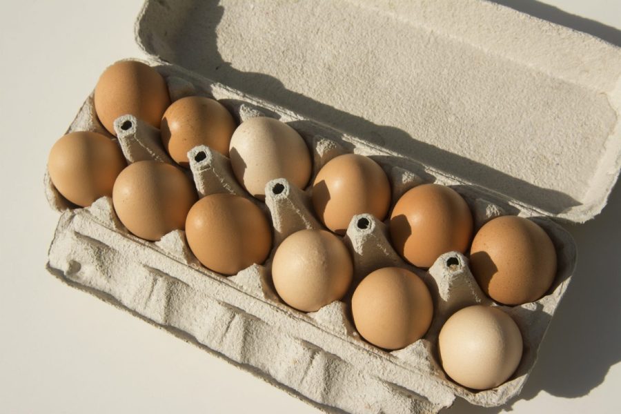 fda-assigns-highest-risk-class-i-status-for-recall-of-nearly-1.6-million-cartons-of-eggs