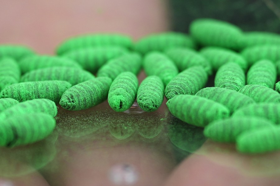 fda-green-lights-more-screwworm-medications:-should-you-give-them-to-your-pets?