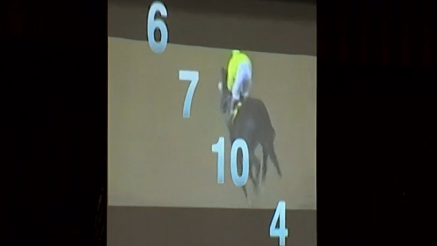 night-at-the-races-benefits-7-year-old-girl-with-brain-tumor