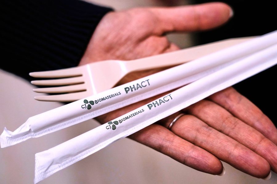 plastic-fork-made-of-sugar?-it-could-help-minimize-harmful-microplastics