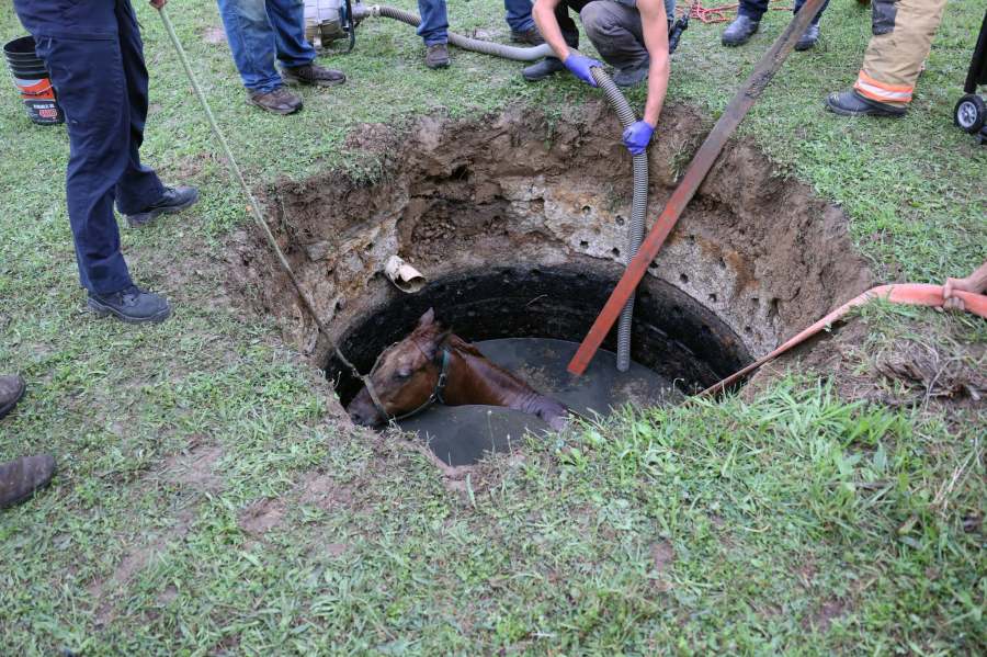 photos:-ashland-county-firefighters-rescue-horse-trapped-inside-in-ground-tank