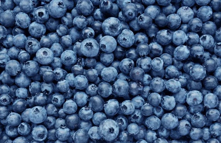 recall-of-frozen-blueberries-categorized-under-fda’s-highest-class-i-risk-level