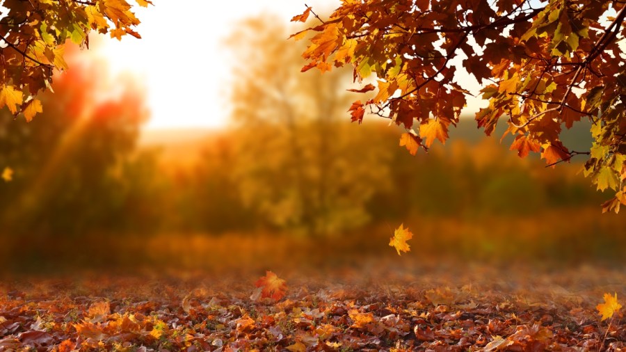 noaa-releases-fall-2026-outlook-as-el-nino-strengthens