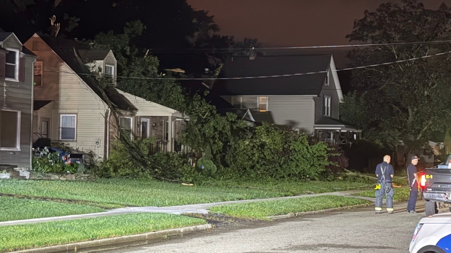tree-branch-falls-on-house-in-niles,-closes-street