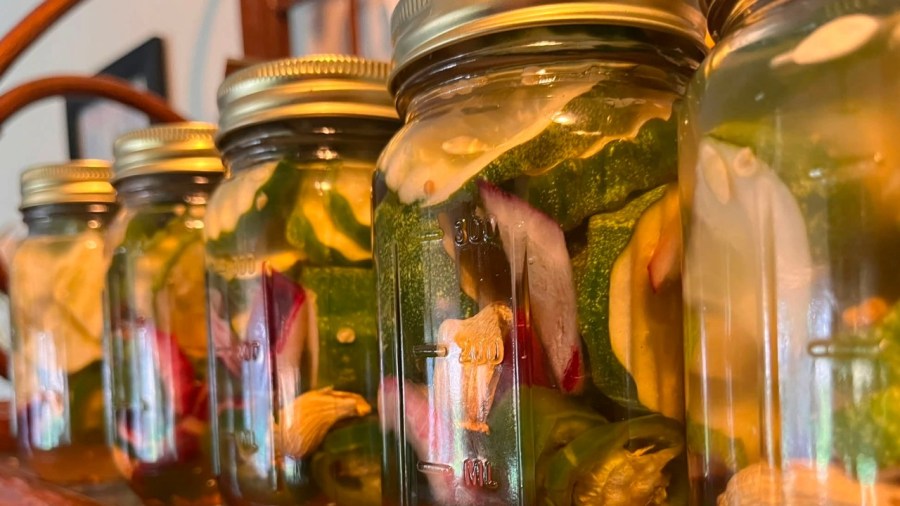 how-to-can-your-own-food