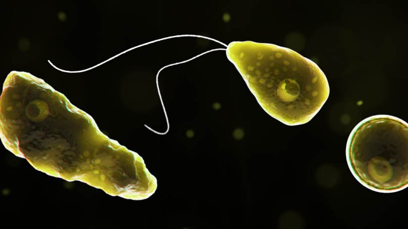 rare-‘brain-eating-amoeba’-infection-leaves-north-carolina-teen-critically-ill