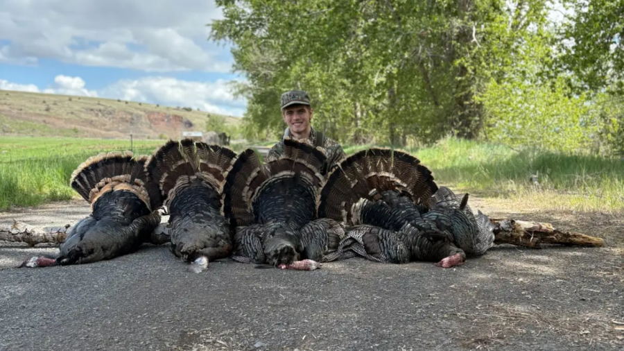 ohio-man-sentenced-to-post-apology-on-tiktok-after-wildlife-poaching-crimes