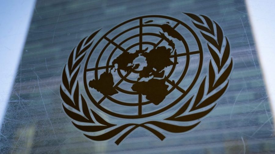 migrant-advocates-testify-before-un,-alleged-human-rights-violations-in-us