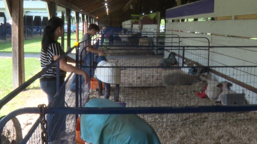 local-siblings-awarded-state-4-h-honors