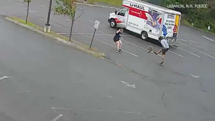 watch:-aggressive-mystery-animal-is-attacking-people-in-new-hampshire