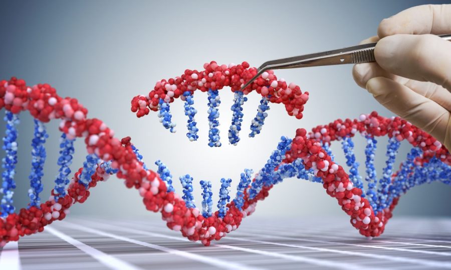 scientists-identify-genetic-markers-linked-to-big-five-personality-traits