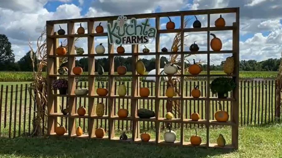 fall-festivities-at-kuchta-farms-honor-country-star-with-corn-maze