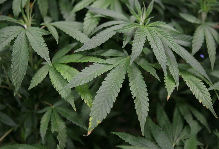 ohio-dispensary-closed-for-investigation-after-two-report-serious-health-reactions