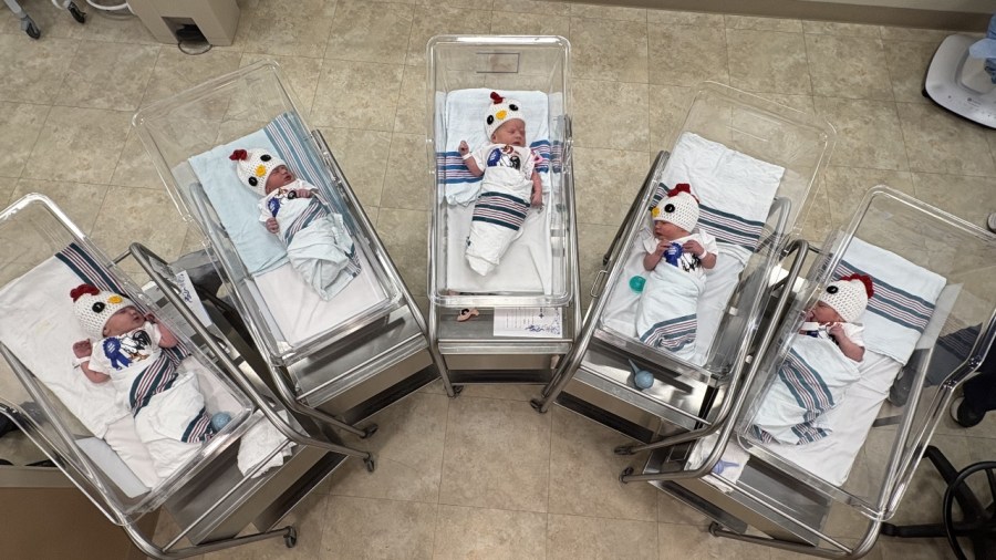 canfield-fair-gives-award-winning-welcome-to-blue-ribbon-babies