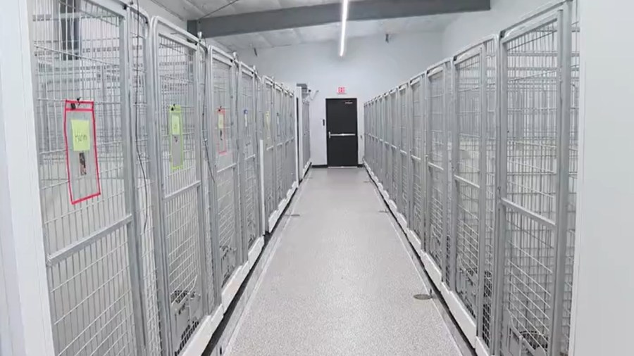 hermitage-animal-shelter-expands-for-increased-intake