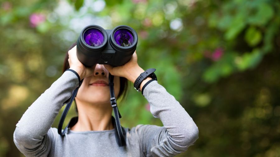 third-annual-headlands-birding-festival-starts-this-week