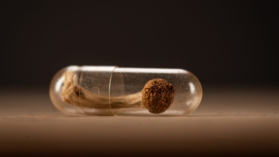 ohio-state-study:-psychedelic-assisted-therapy-helps-veterans-with-ptsd