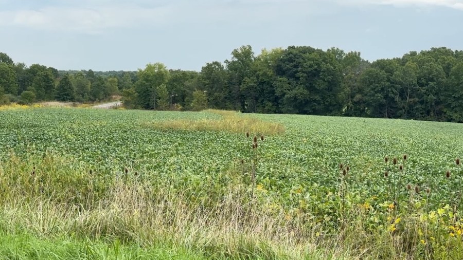 housing-development-moves-forward-in-trumbull-county
