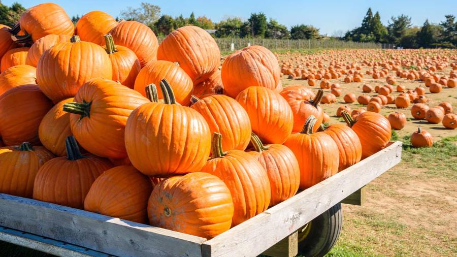when-does-fall-officially-begin-this-year?