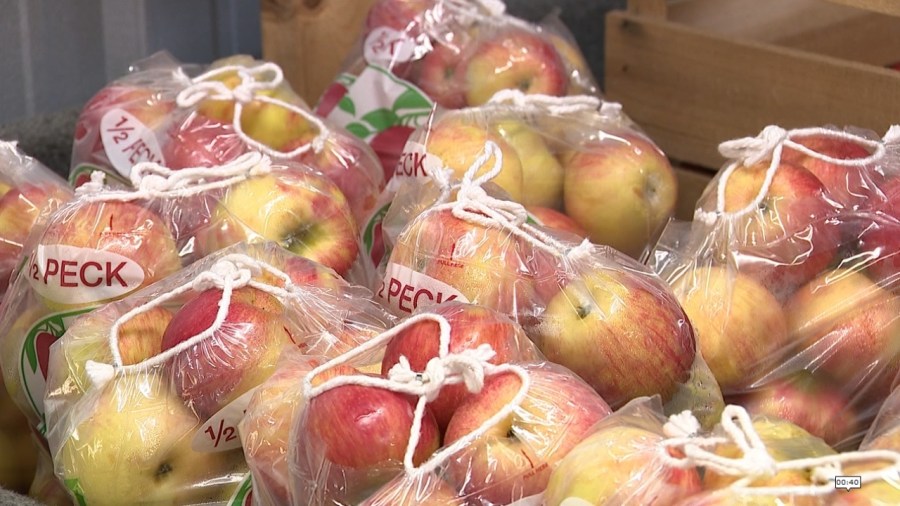 hartford-apple-festival-returning-friday