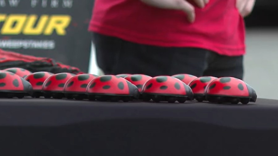 ladybug-run-motorcycle-cruise-supports-families-facing-childhood-cancer