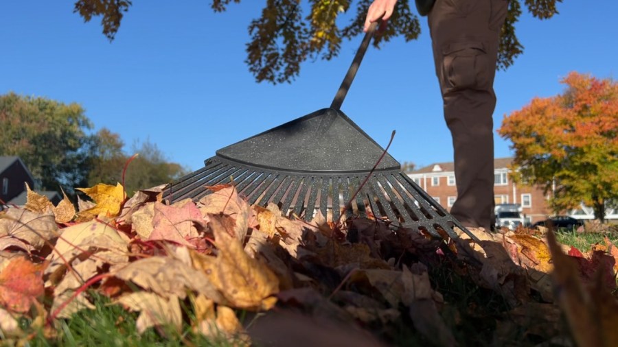youngstown,-canfield-announce-leaf-pickup-plans