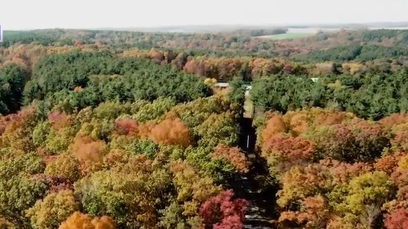 how-to-find-the-best-fall-foliage-viewing-in-ohio