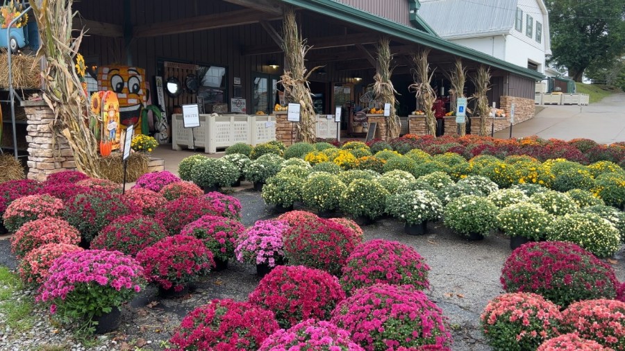 fall-weekends-return-to-molnar-farms;-see-all-there-is-to-do