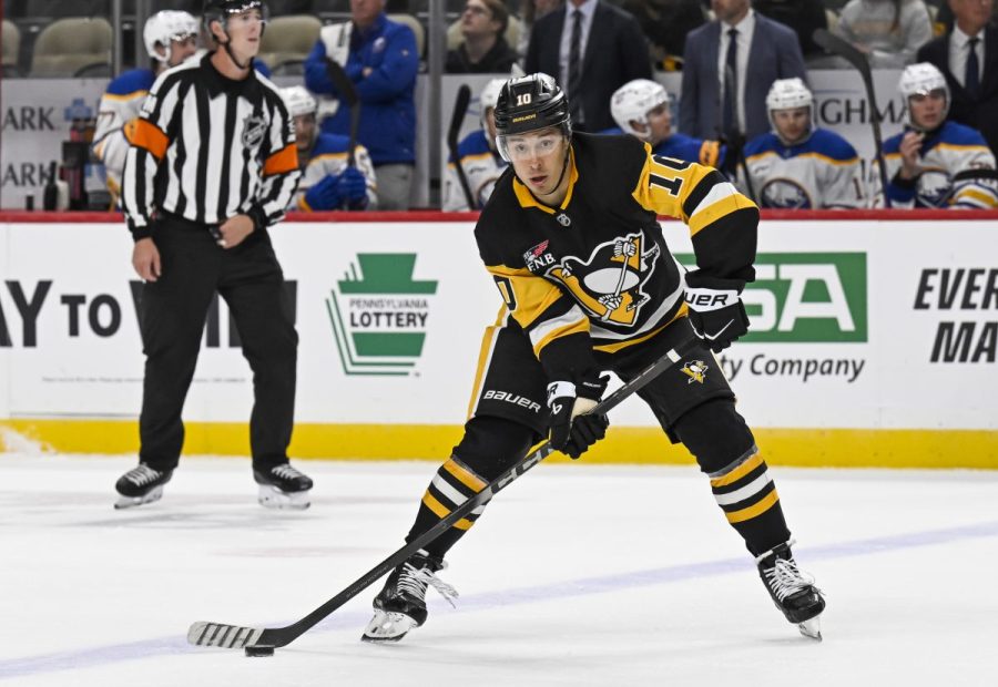 pittsburgh-penguins’-player-takes-leave-from-team-after-father-killed-by-bear